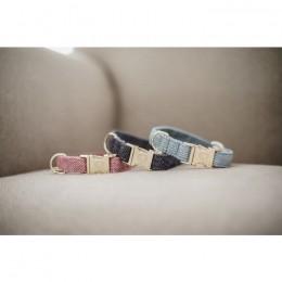 Kentucky Dog Collar Wool