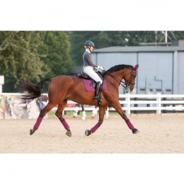 LeMieux Pro-Sport saddle pad plum suede