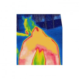 Bucas Therapy Light Mesh Cooler