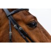 Trust Rome bridle dropped noseband
