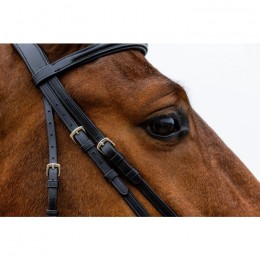 Trust Rome bridle dropped noseband
