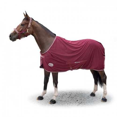 Bucas Jubilee Cooler