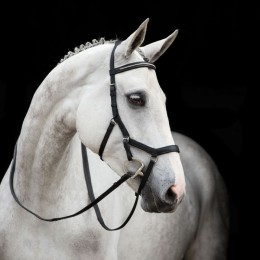 Rambo Micklem Diamante Competition Bridle