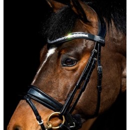 Mrs. Ros Italian Leather Bridle