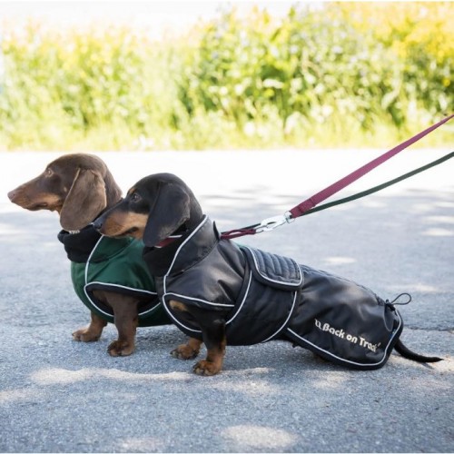 Back on Track Dog Coat Buddy