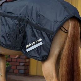 Back on Track Excercise Rug