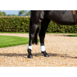 Equilibrium Tri-Zone Fetlock Boots