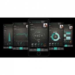 Equestic Saddle Clip