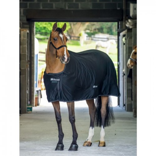 Bucas Shamrock Power Black