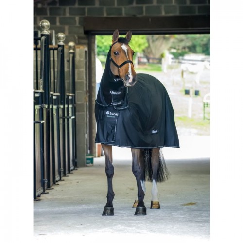 Bucas Shamrock Power Full Neck Black