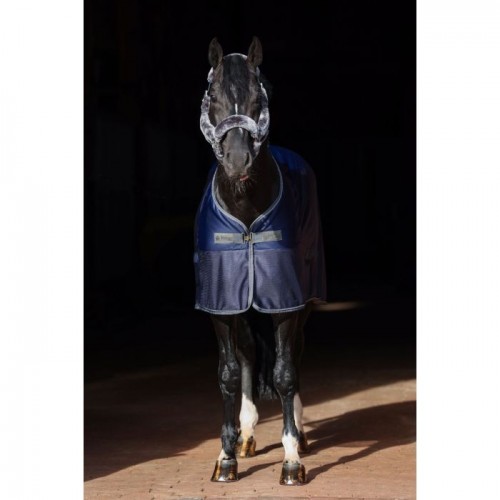 Bucas Show-Line Competition Cooler