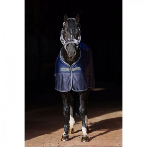 Bucas Show-Line Competition Cooler