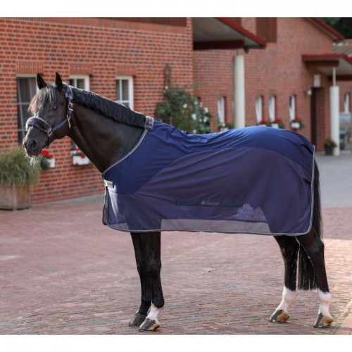 Bucas Show-Line Competition Cooler