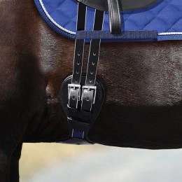 Passier Dressage Girth Blu Wave
