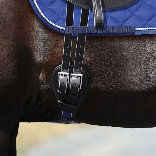 Passier Dressage Girth Blu Wave