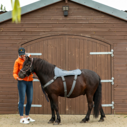Equilibrium Massage Pad