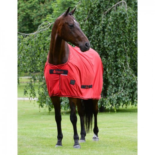 Bucas Sports Line Cooler