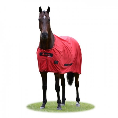 Bucas Sports Line Cooler