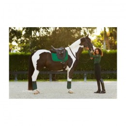 Equito Base Layer Evergreen Bronze