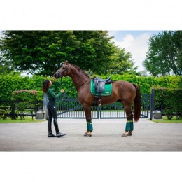 Equito Dressage Saddle Pad Evergreen Gold