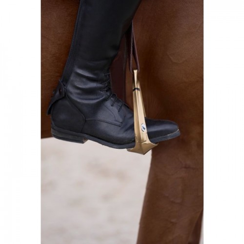 Samshield Shield'Rup Brushed Champagne safety stirrups