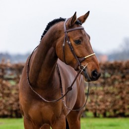 Trust St. Gallen bridle rope noseband