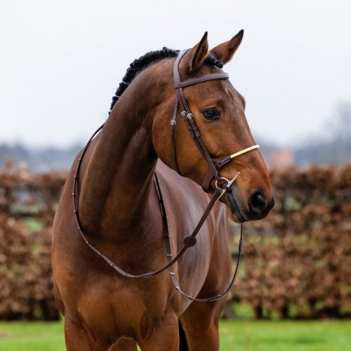 Trust St. Gallen bridle rope noseband
