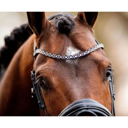 HB Showtime Bridle Great Love