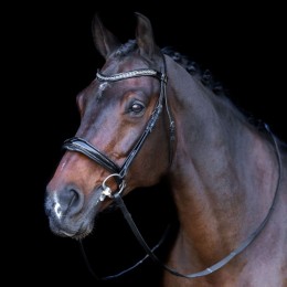 Imperial Riding English Bridle