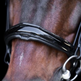 Imperial Riding English Bridle