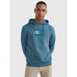 Tommy Hilfiger SS'22 Mens Embroidery Logo Hoody