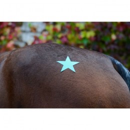 Liveryman Special scheerapparaat en tondeuse Slick 15 en Slick'art