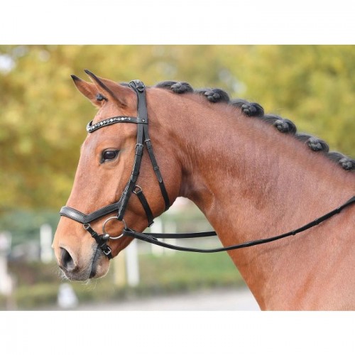 Busse bridle Feeling