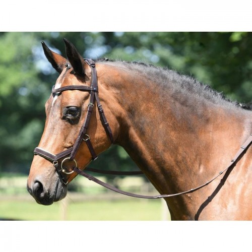 Busse bridle Feeling