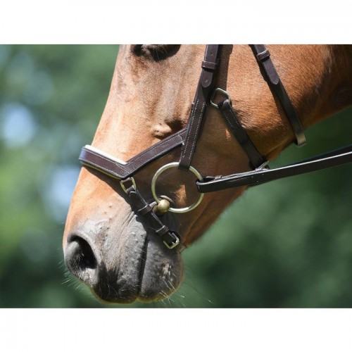 Busse bridle Feeling