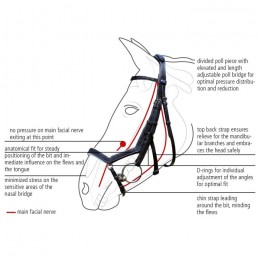 Busse bridle Feeling