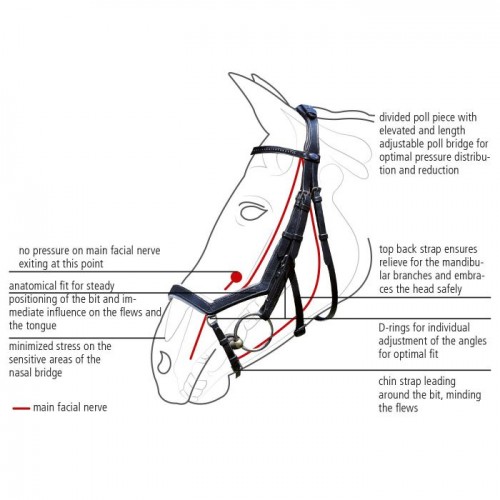 Busse bridle Feeling