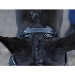Busse Bridle Emotion