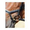 Busse Bridle Emotion