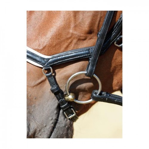 Busse Bridle Emotion