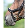 Busse bridle Modena