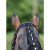 Busse bridle Modena