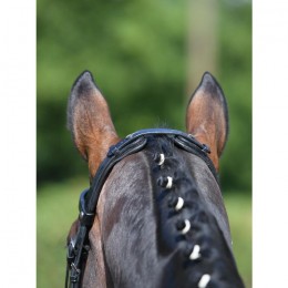 Busse bridle Modena