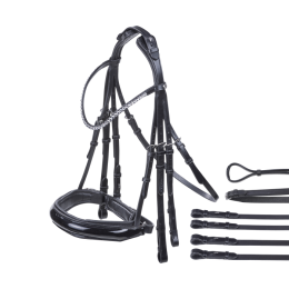 Busse Double Bridle Flying Change