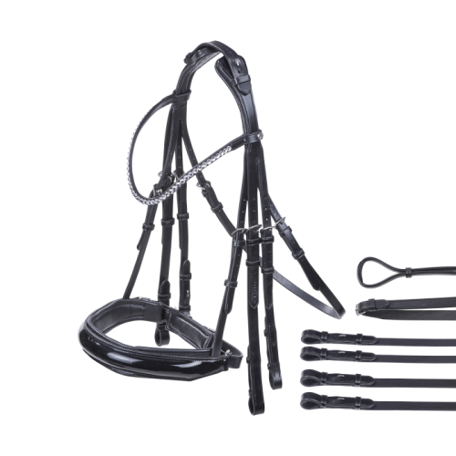 Busse Double Bridle Flying Change