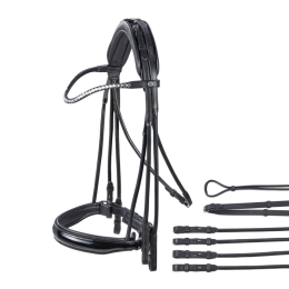 Buses Double bridle headstock Passage Line RP