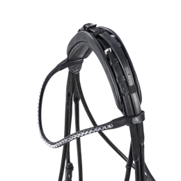 Buses Double bridle headstock Passage Line RP