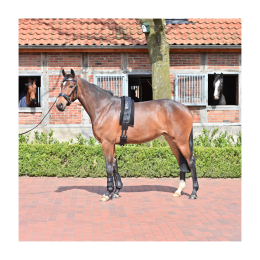 Busse Lunge girth pad 3D Air Effect