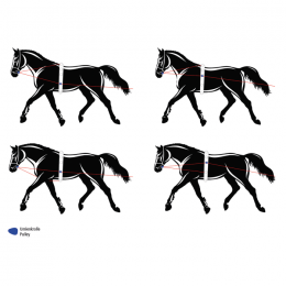 Busse Double Lunging Line Soft with pulleys