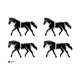 Busse Double Lunging Line Soft with pulleys-14m